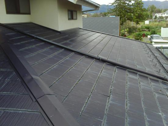 トステム　アンバサダー（チャコール）の物件